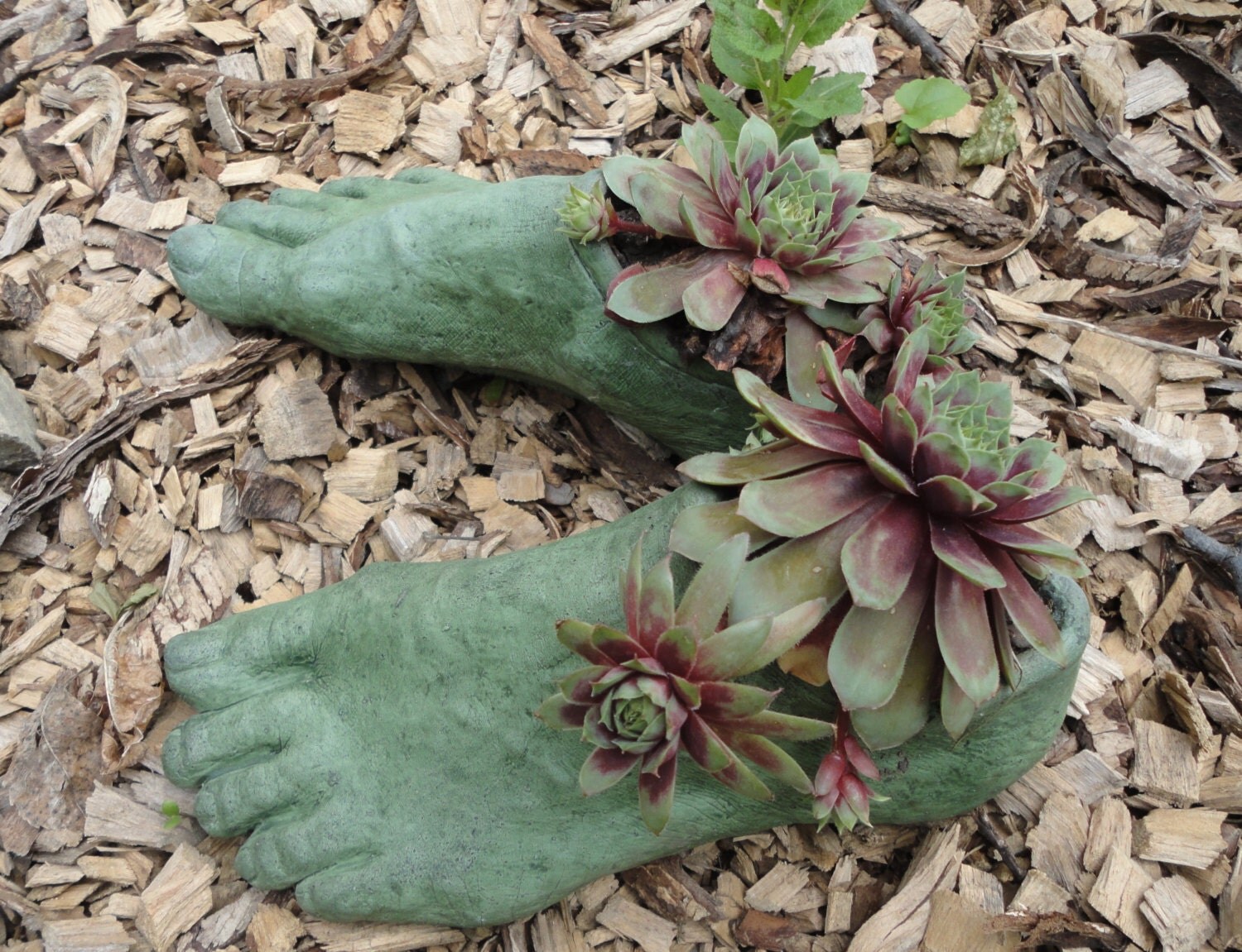 Concrete Planter Goddess Planter feet Moss