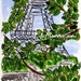 Eiffel Leaves