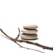 Beach Stones Pebbles Rocks - Focal jewelry beads - Rondelle Cairn Lake Donuts - "Ash Champagne" by StoneMe