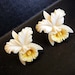 40s earrings / Vintage 1940's Hawaiian Orchids Flower Pre Ban Carved Ivory