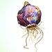 Original Watercolor- Hyacinth Bulb Study 2