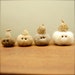 A Little Cashmere Family of Fall Acorns Ready to Ship