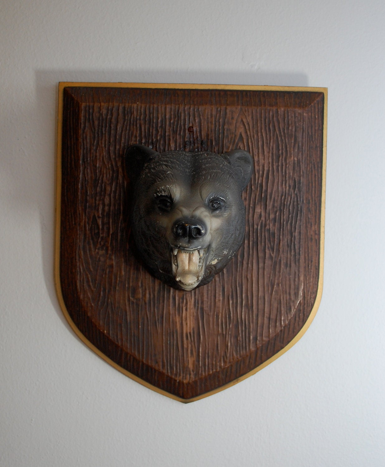 mounted bear head for sale