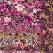 Liberty Purple Patchwork Pillow kit - all you need to make a gorgeous pillow/cushion