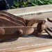 Vintage Industrial Block and Tackle..Rusty Iron Pulley Wheel Hook...Masculine Man Cave...Iron Garden Decor