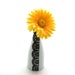 Porcelain vase lace design can also be used as cruet oil vinegar bottle