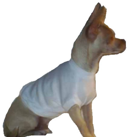 Plain White Dog TShirt 4 Sizes Available Guaranteed to
