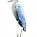 GREAT blue HERON Original watercolor painting 8X10inch(Vertical orientation)