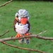 zebra finch plush