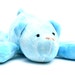 Stuffed Bear Plushie