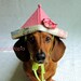 Pink Gingham Dachshund Hat - Folded Origami Birthday hat