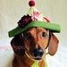 Wonderland Garden Tea Party Birthday Hat for Dogs - Kiwi Green and Fuschia Tula Pink