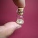 A tiny fossilized Pteranodon in a tiny bottle
