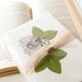 Jane Austen Bird Handmade Card Set - Blank Note Cards - Pride and Prejudice, book lover, bird watcher, hostess gift under 10