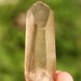 Lemurian Seed Smoky Quartz Crystal