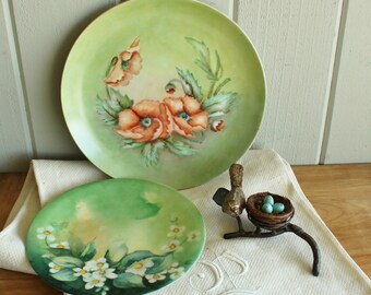2 Vintage Hand Painted Floral Plates Poppies and Blossoms