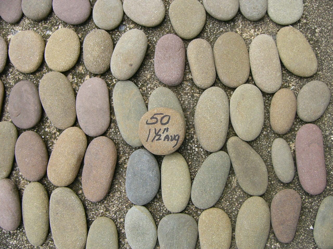 50 Small River Rocks Long Oval Shape Stones Writing Names