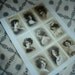 100% Silk Antiqued Beauties on Fabric Victorian Cottage Chic