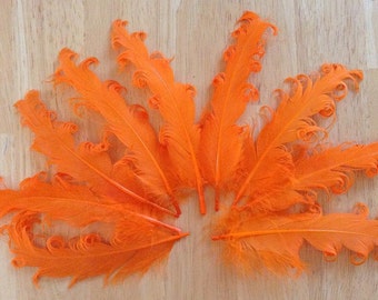 3 Loose Nagorie Feathers - Orange