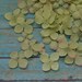 Silk Flowers - 100 Hydrangea Blossoms in Apple Green Accented with Pink - Artificial Flowers