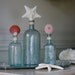 Beach Decor Vintage Set of 3 Aqua Glass Bottles with Starfish, Scallop Shell and Sea Urchin