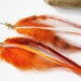 Long earrings studs with orange and white feathers casual gipsy fashion autumn