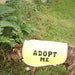 Dog Adopt Me Vest Medium/Large Yellow with Red & White Trim
