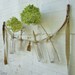 Antique Apothecary Bottle & Grain Sack Garland - Set of 4 Bottles on Salvaged Grain Sack Strand - Flower Bud Vase Garland
