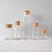 Instant Collection of Glass Apothecary Jars with Cork Lid