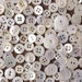Mother of Pearl Buttons - Lot of over 100 Vintage Ivory White Shell Buttons