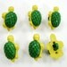 Turtle Buttons Set of Six