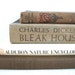 Vintage Collection of Books- Cottage Collection