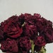 15 Dark Red Dried Roses - Natural Color - Deep Red - Herbs for Spells - Roses for Luck, Love, Romance