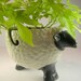 Sheep planter or yarn bowl