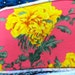 Gorgeous Yellow Cottage Roses on Hot pink cotton Lycra Knit Fabric