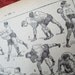 French Wrestling print illustration