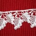 Venice Lace- 2 yards