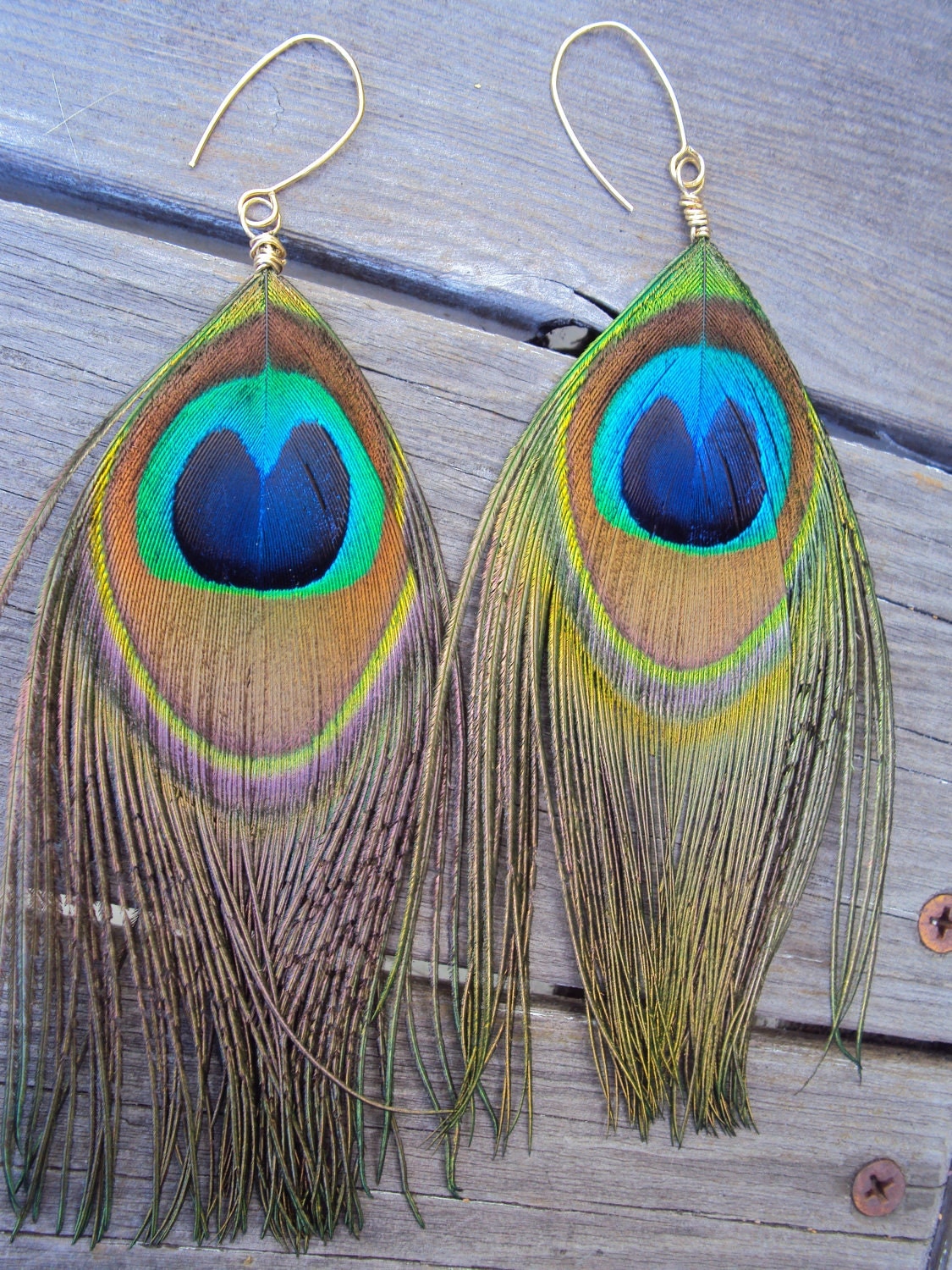 Peacock Feather Earrings Gold Wire Wrapped Feather by IvysBoutique
