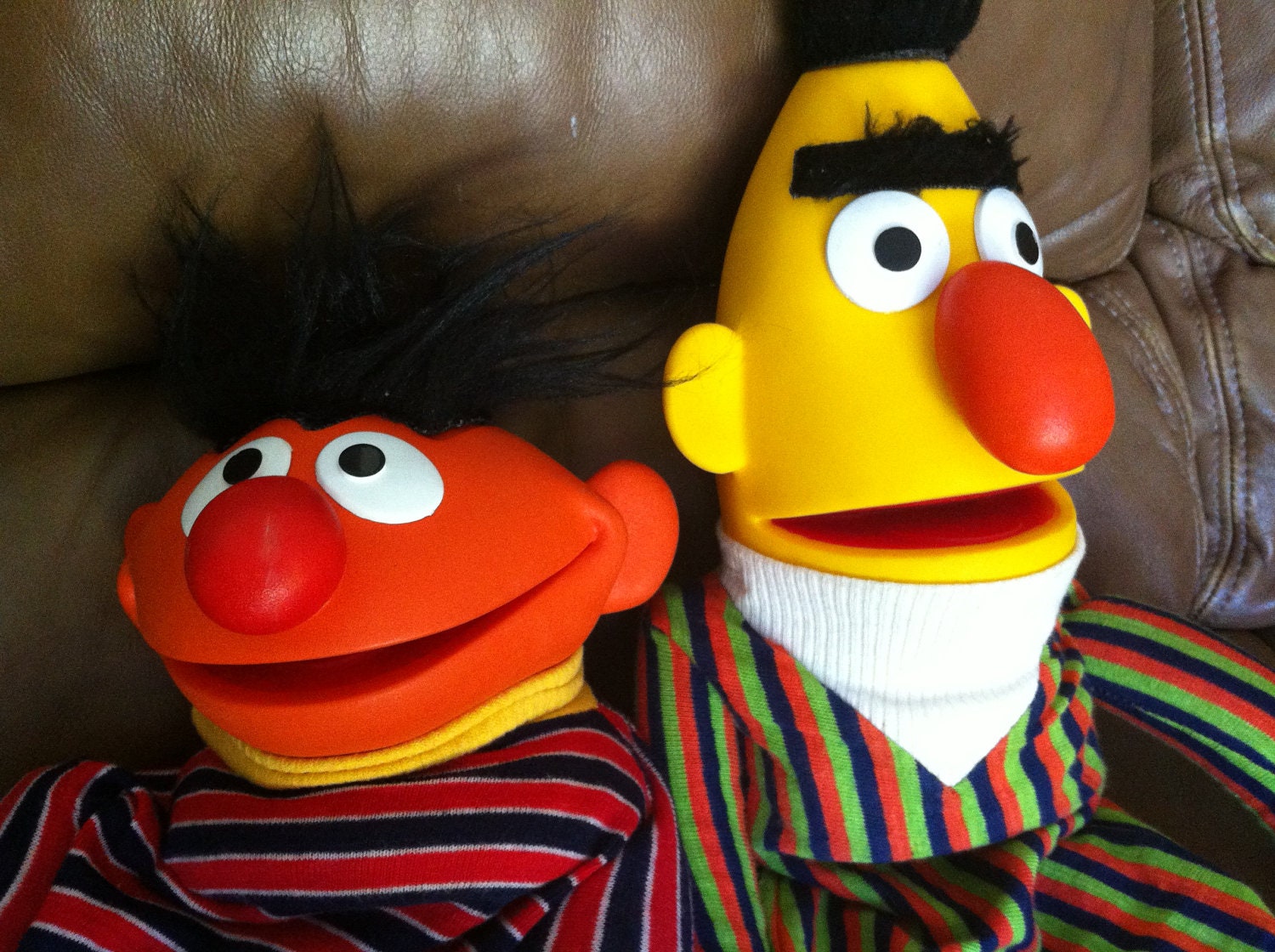 Bert And Ernie Are Gay Says Writer But Sesame Street Insist They're Just Non