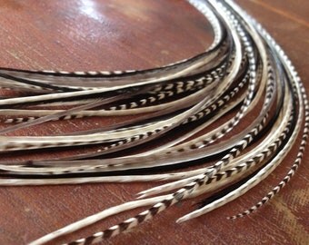 Hair Feather Extensions - Stepping Stones Extra Long Grizzly Feather Hair Extension Bonded Rooster Feathers with threader