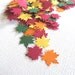 100 Autumn Maple Leaves, Confetti, Embellishments