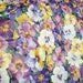 Pansy Fabric Floral Purple Yellow Cotton Fat Quarter London Collection Rose & Hubble