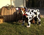 Halloween dog costumes, Special order, custom made, dog costume black and white cow for large dog