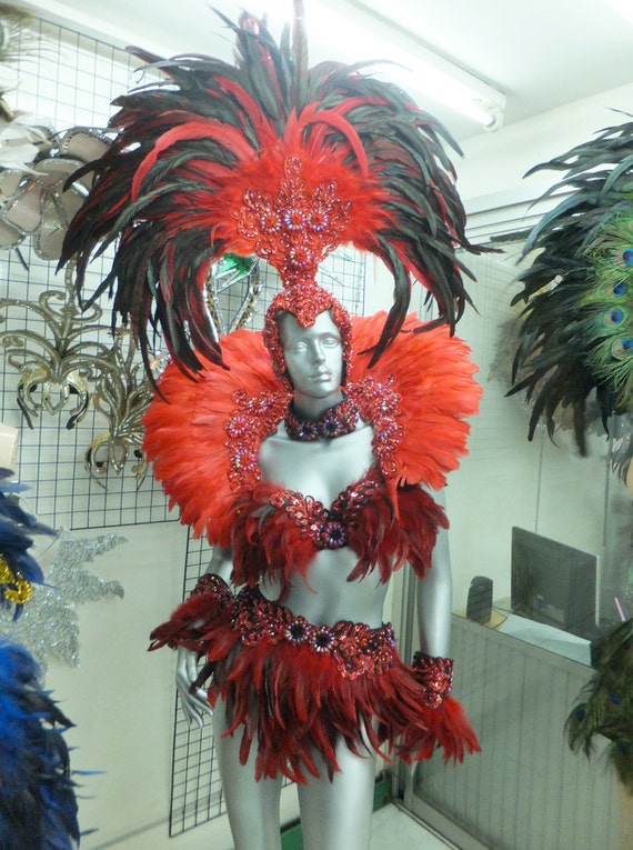 Samba Feather Costume Set