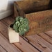 Reserved for Krisann: Vintage National Beer Crate in Yummy Patina'd Wood