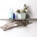 Large Sculptural Natural Driftwood Shelf