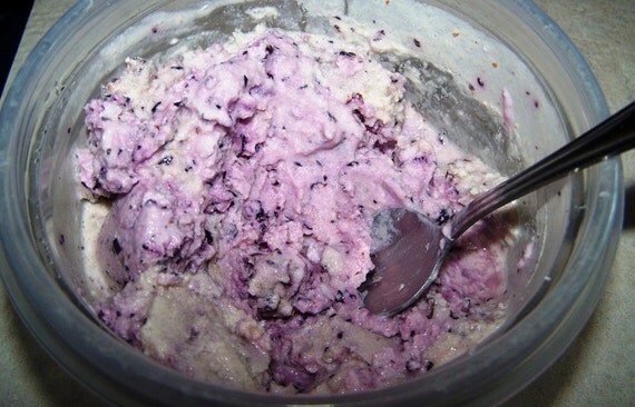 maker yogurt pdf SUGAR Berry CulinaryElegance Yogurt on Etsy FREE by Frozen