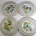 Set of Four Hand Painted Birds Plates - Ucagco China Made in Japan