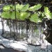 RESERVED for Meredith - vintage wire caddy mason jar holder with 3 mason jar vases and 3 flower frogs