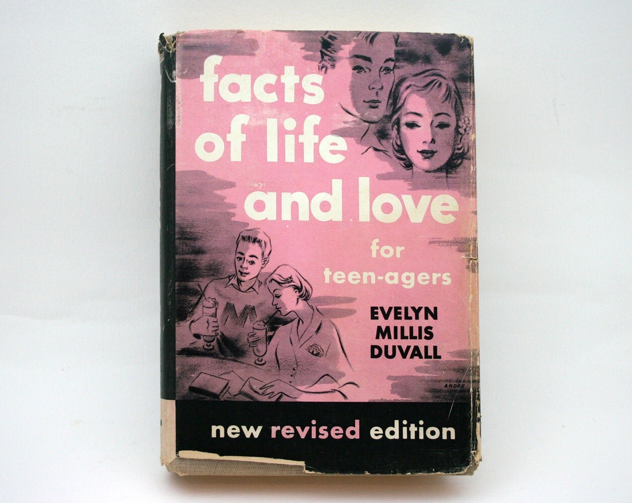 Vintage Book Facts Of Life And Love Birds And Bees For